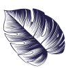 Prancheta 1